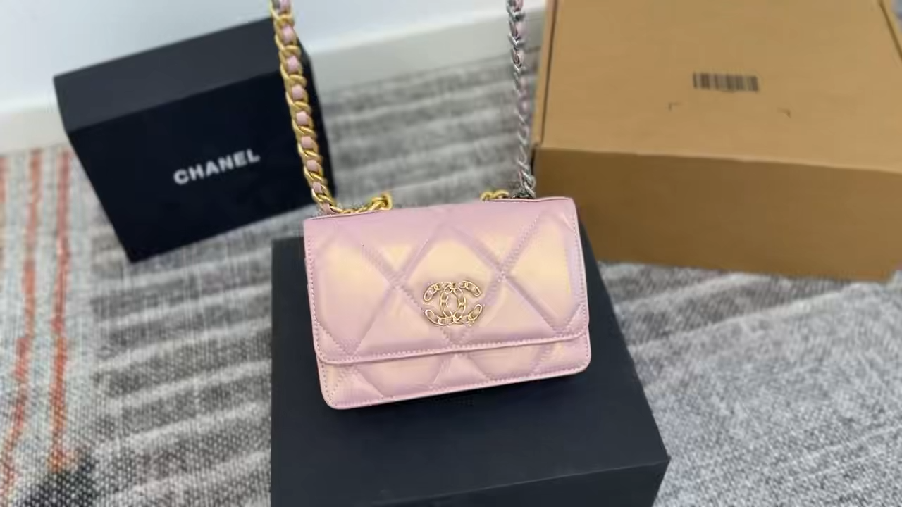 Chanel 19 Woc fortune bag - Image 2