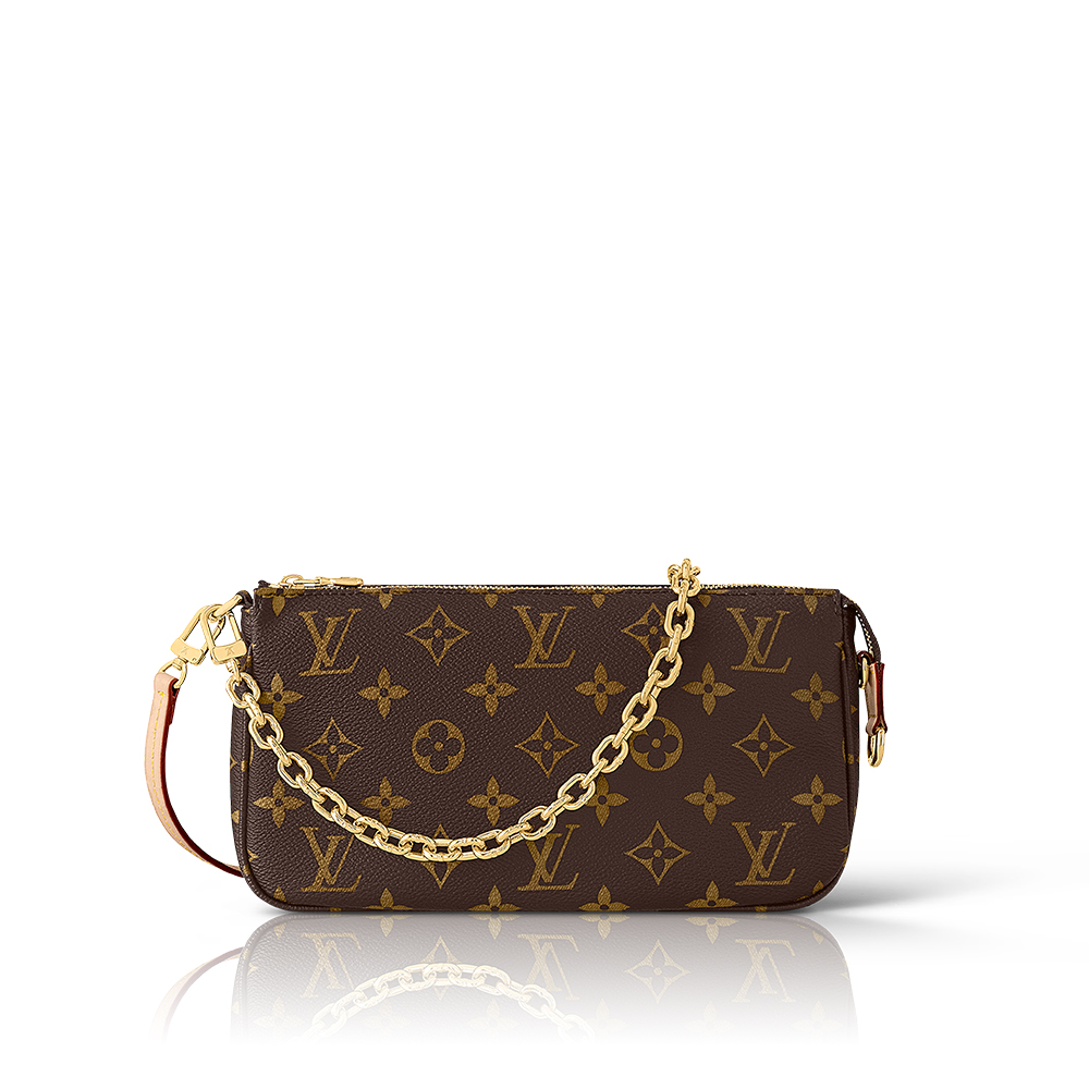 LV Pochette Accessoires Bag - Image 1