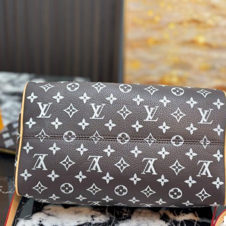 LV Speedy Pillow Bag - Image 14