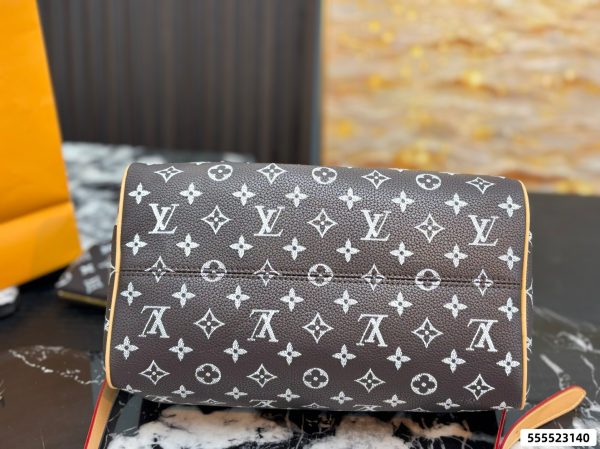 LV Speedy Pillow Bag