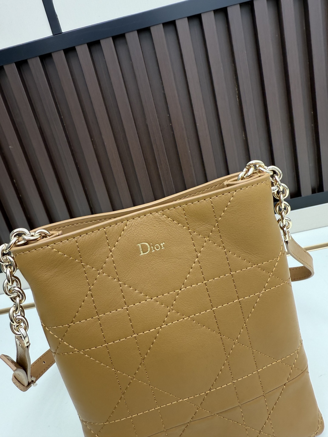 Dior Trianon Bag - Image 1