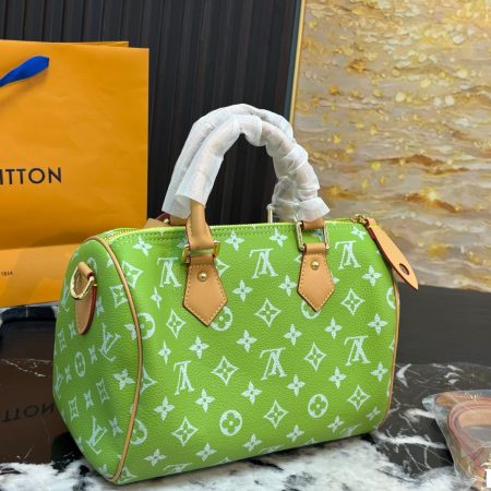 LV Speedy Pillow Bag - Image 13