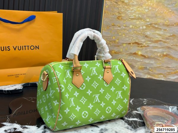 LV Speedy Pillow Bag