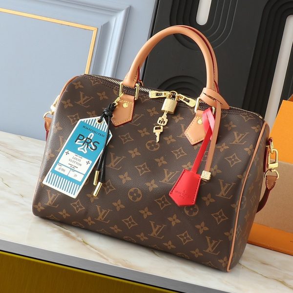 LV Speedy Soft 30 Bag