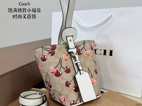 Coach Mini Lucky Bag