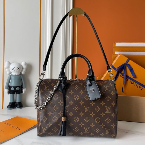 LV Speedy Soft 30 Bag
