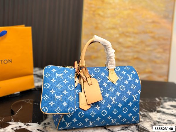 LV Speedy Pillow Bag