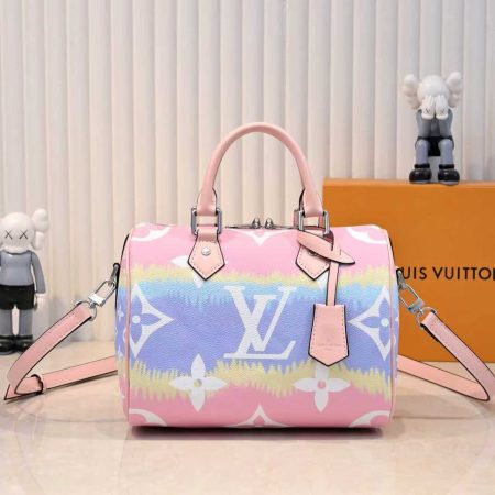 Lv Speedy Pillow Bag