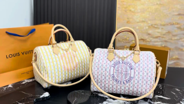 LV Speedy Soft 30 Pillow Case