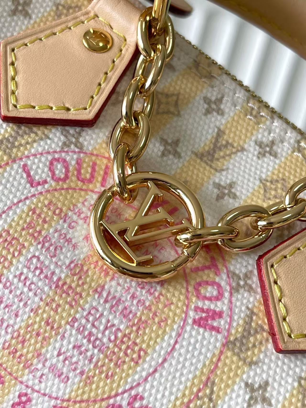LV Mini Pillow Bag - Image 5