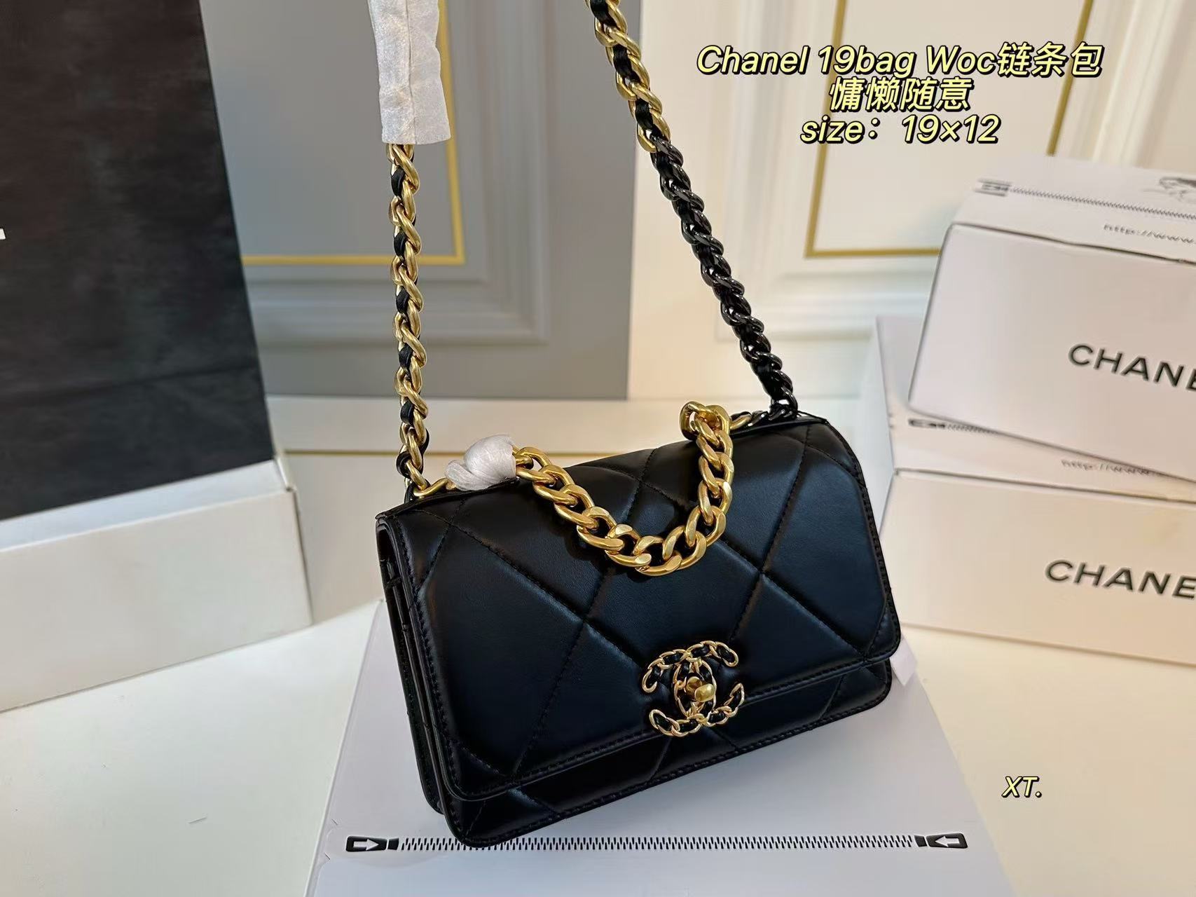 Chanel 19 Bag WOC Wallet on Chain - Image 3