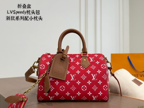 LV Speedy Pillow Bag
