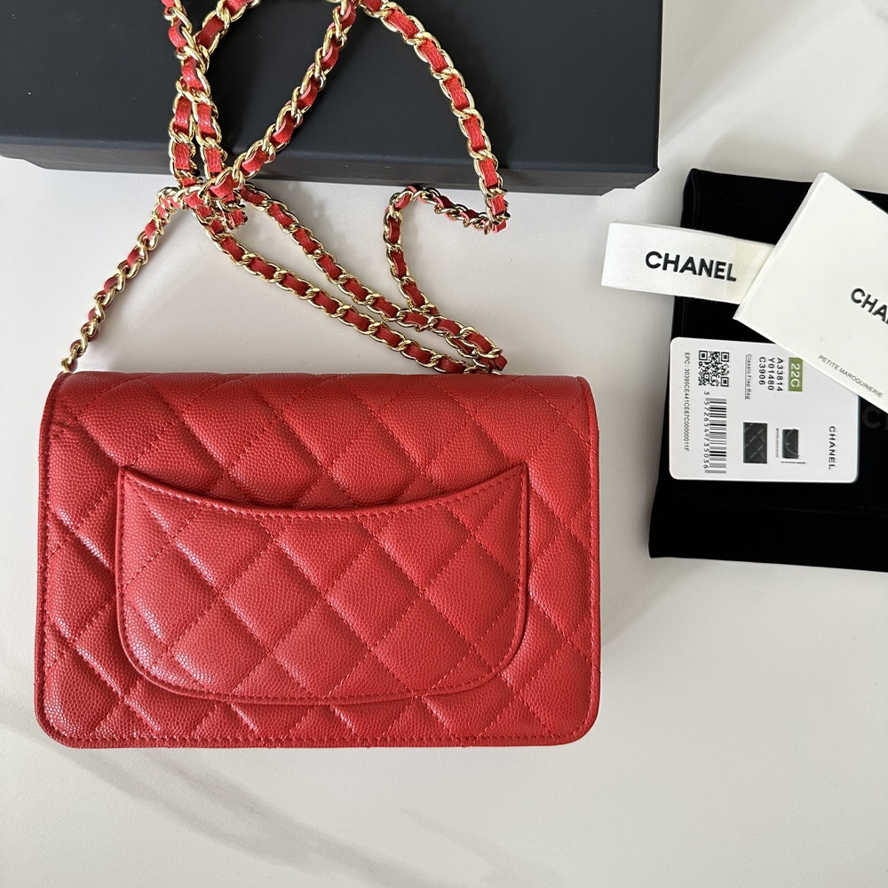 Chanel Classic Wallet on Chain Quilted Caviar - Image 7