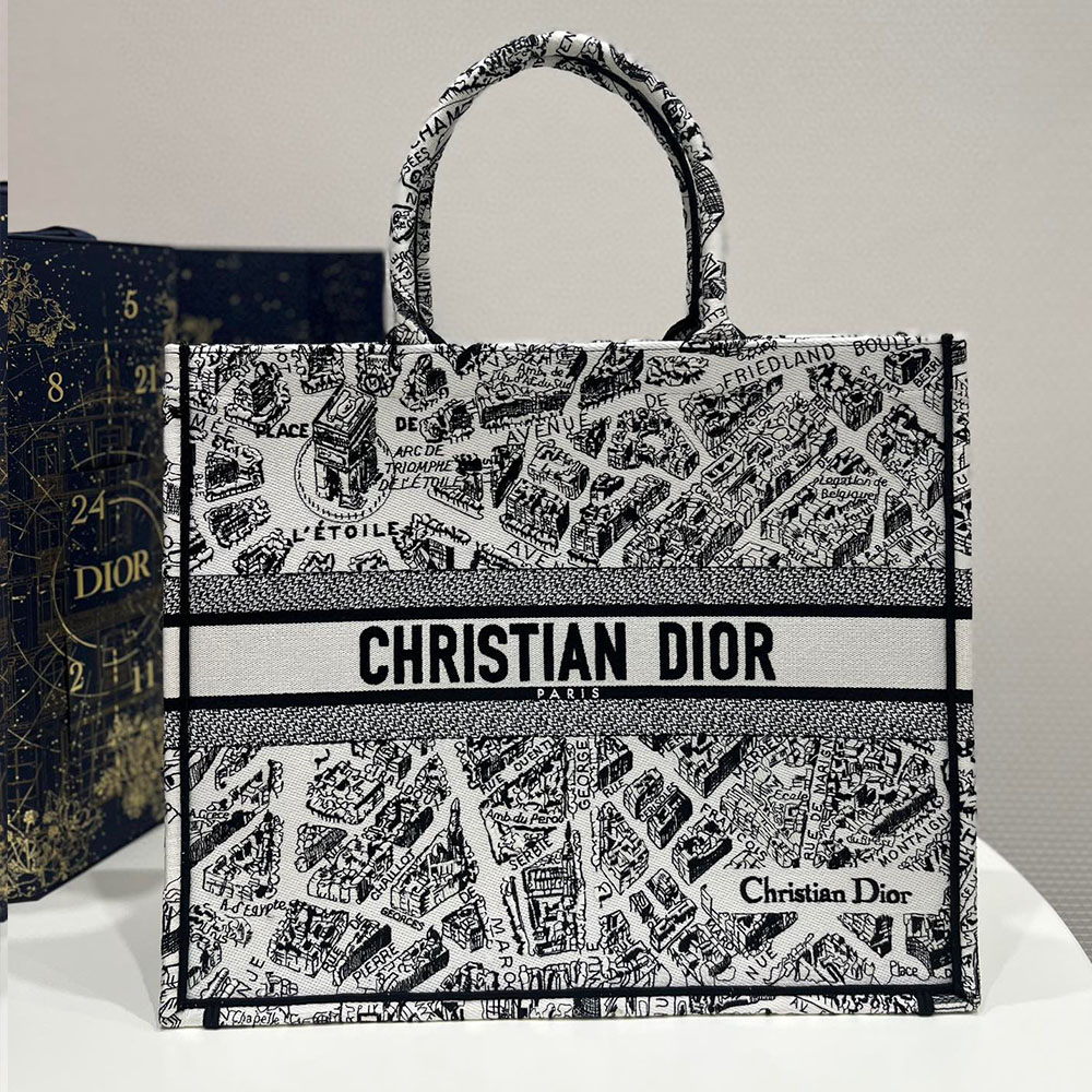 DIOR Book Tote Paris Map Bags - Image 8