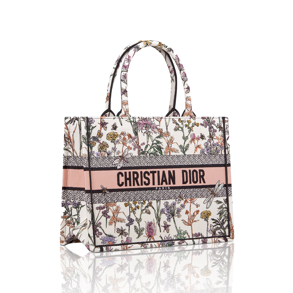 Dior Book Tote Medium Bag - Image 1