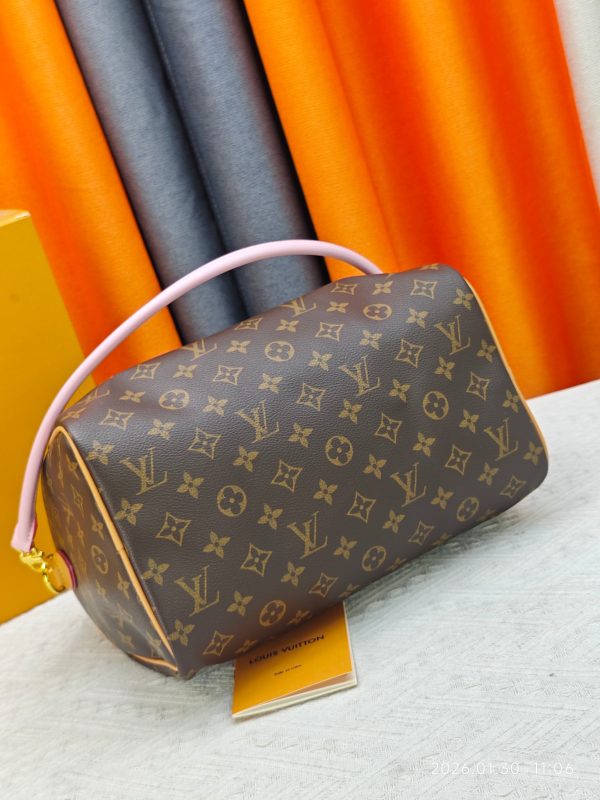 LV Speedy 30 Bag
