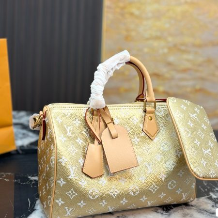 LV Speedy Pillow Bag - Image 6