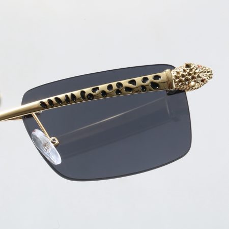 Cartier Fashionable Sunglasses - Image 9