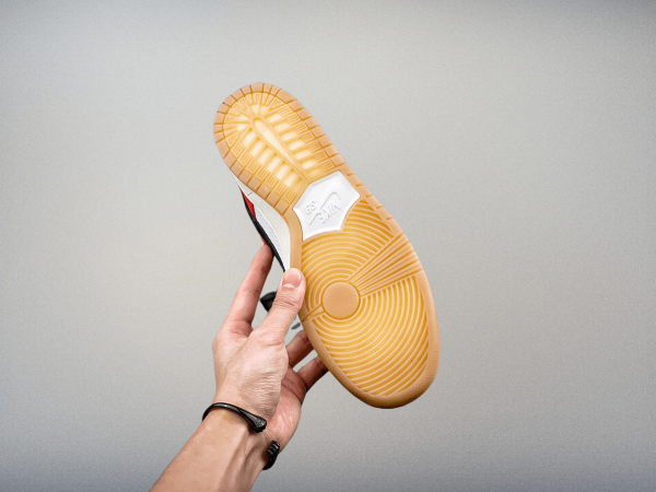 Frame Skate x SB Dunk Low “ Habibi"