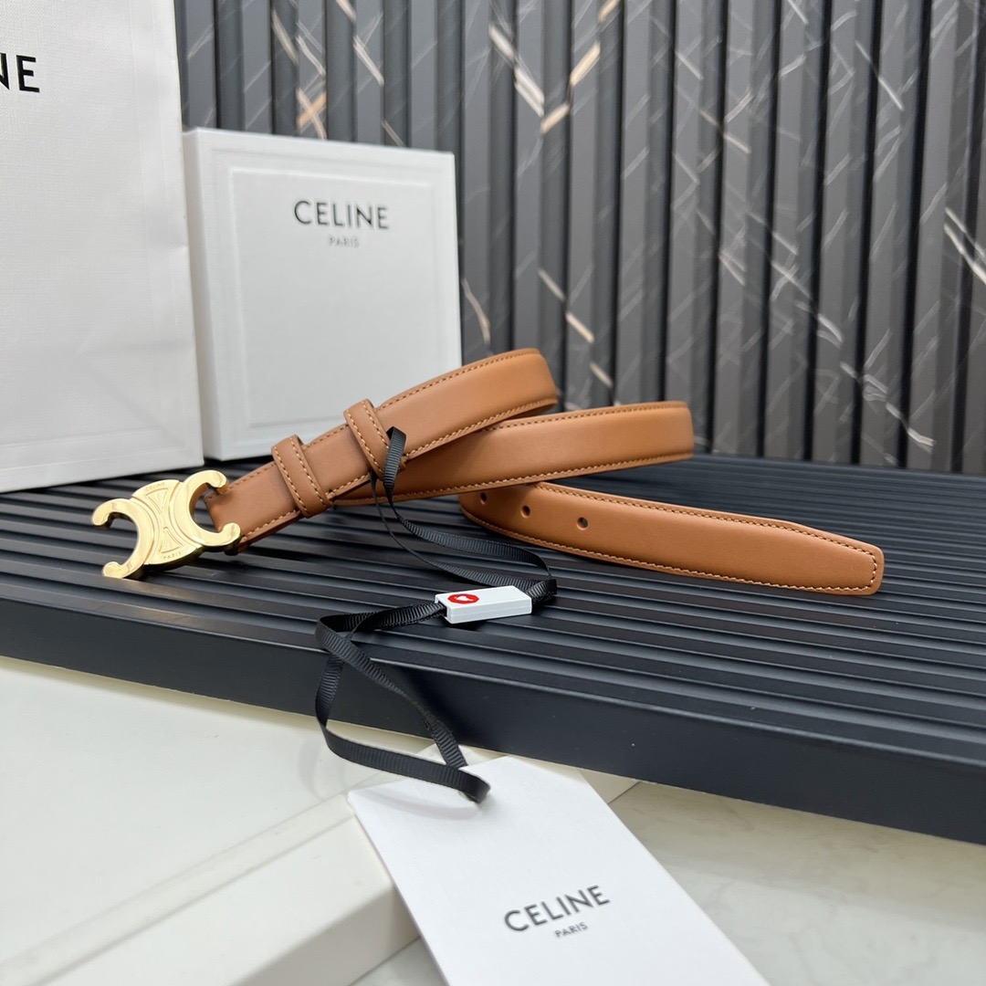 Celine Medium 25MM Triomphe Belt - Image 6