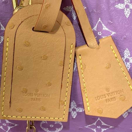 LV Speedy P9 30cm Bag - Image 6