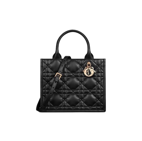 Dior Book Tote bag