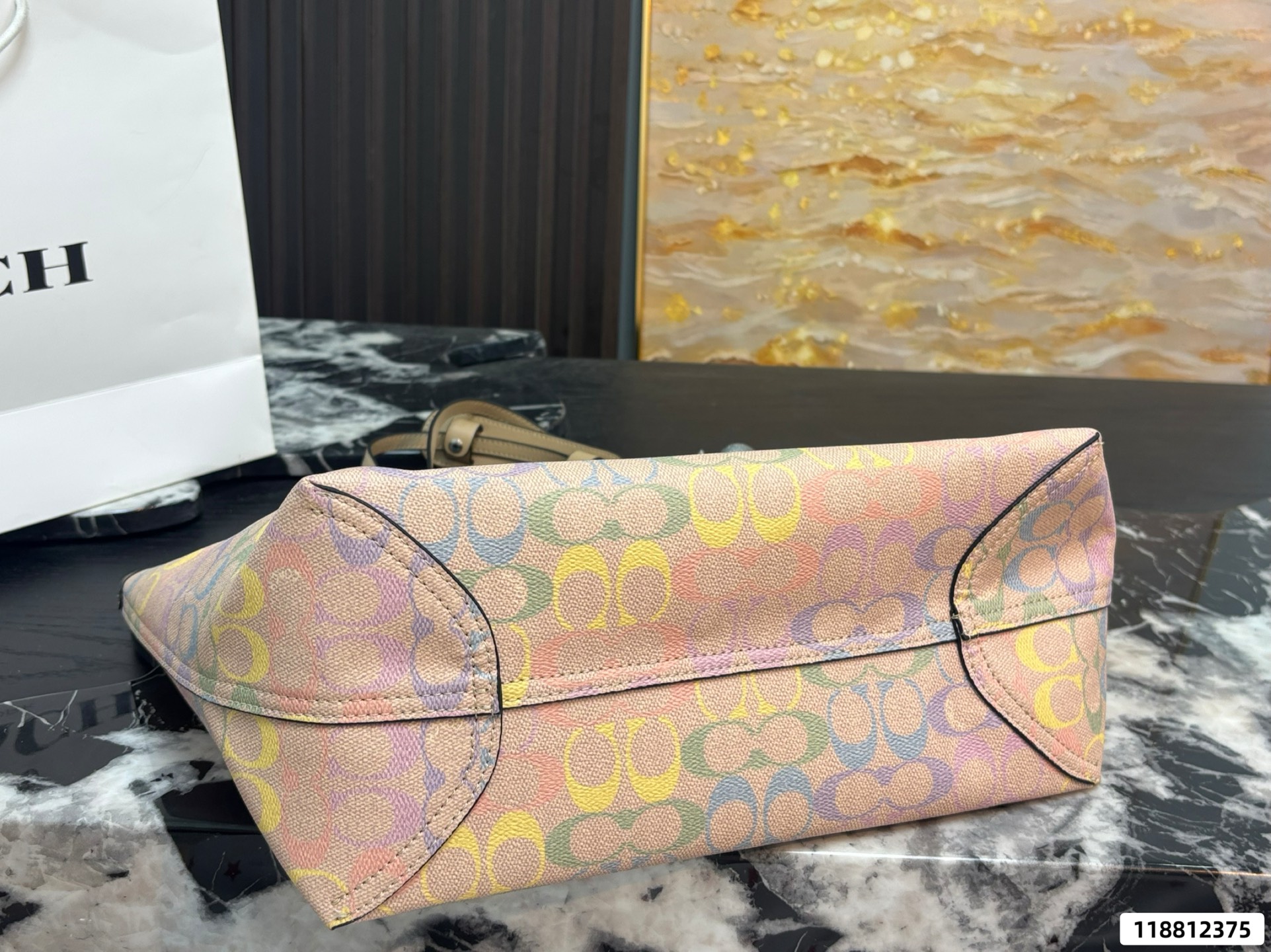 Coach Rainbow Tote Bag - Image 5
