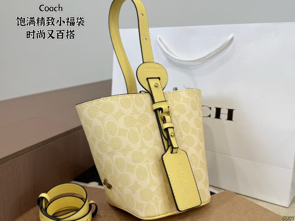 Coach Mini Lucky Bag