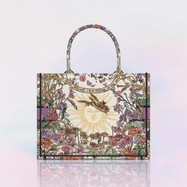 Dior Book Tote Bag