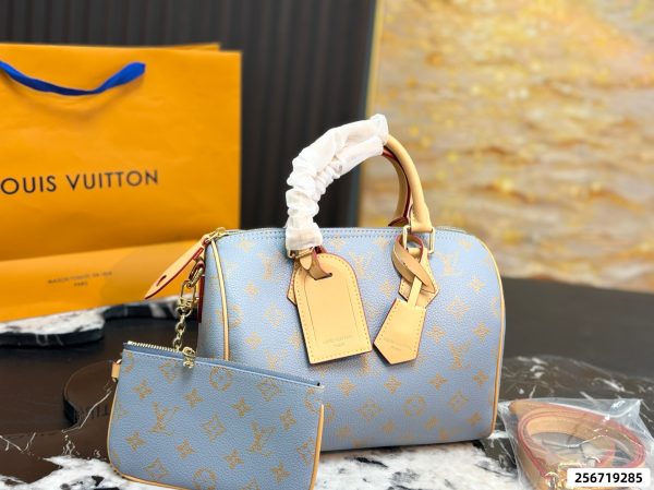 LV Speedy Pillow Bag