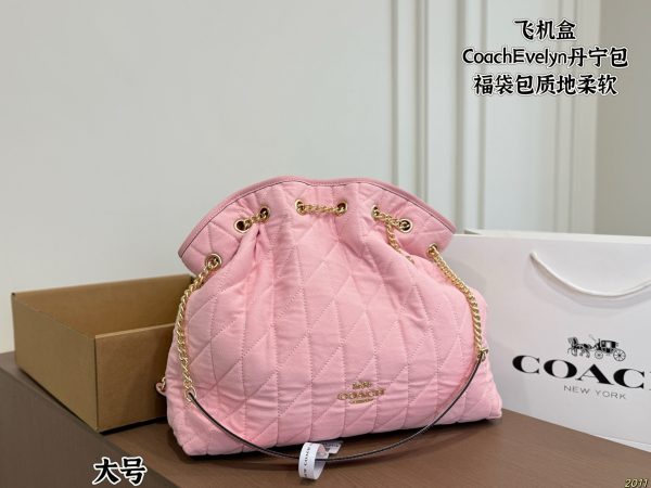 Coach Evelyn Denim Lucky Bag
