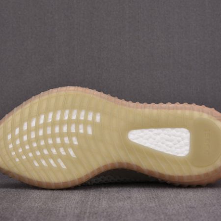 Yeezy Boost 350 V2 True Form EG7492 - Image 4