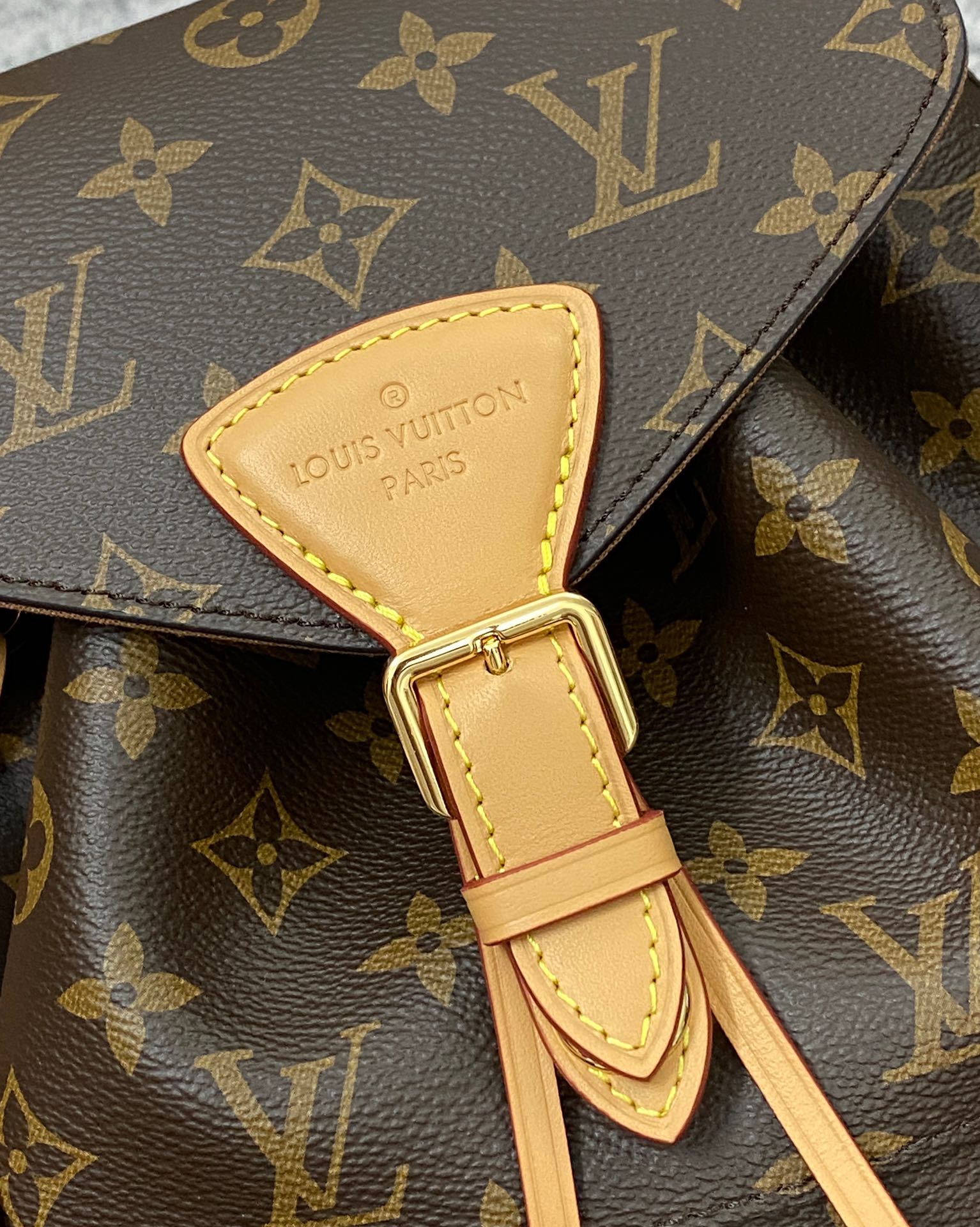 LV Montsouris PM Bag Mirror Version - Image 6