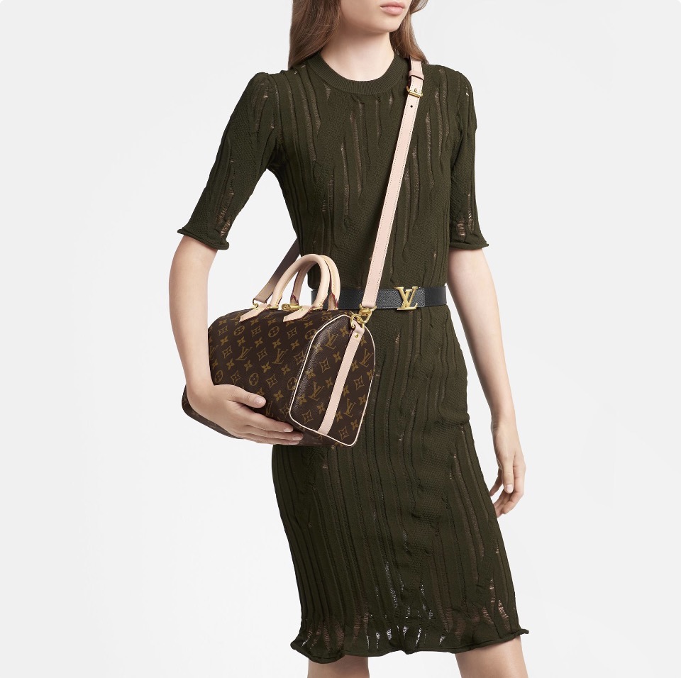 LV Speedy 25 Mirror Version 10A - Image 2