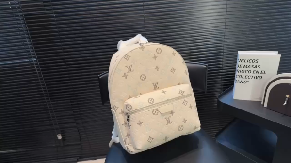 LV Apollo Backpack
