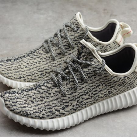 Yeezy Boost 350 Turtle Dove AQ4832 - Image 10