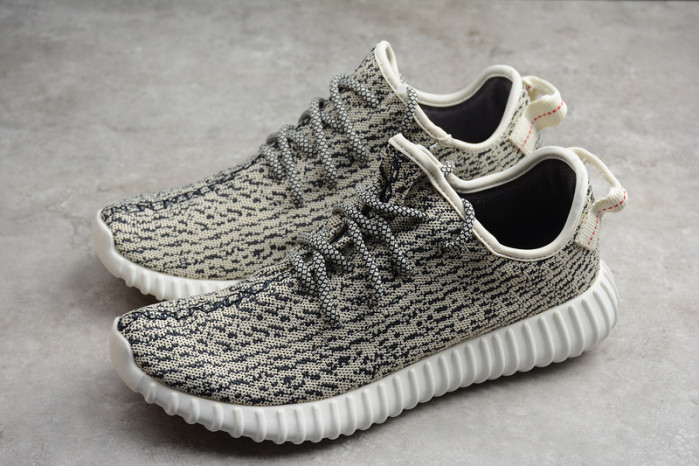 Yeezy Boost 350 Turtle Dove AQ4832 - Image 10