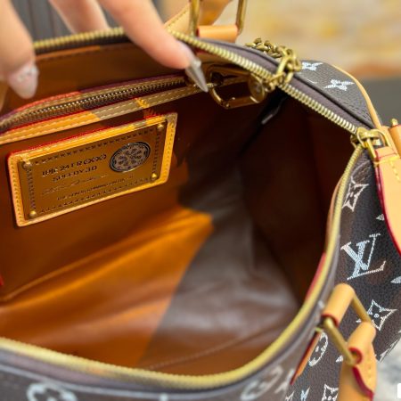 LV Speedy Pillow Bag - Image 13