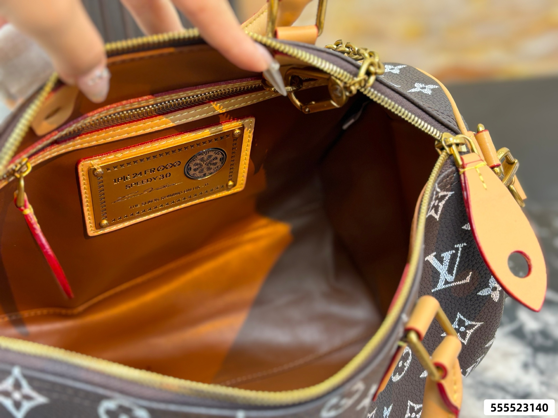 LV Speedy Pillow Bag - Image 13