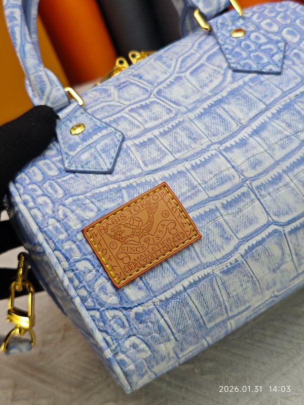 LV  Speedy 20 Soft Bag