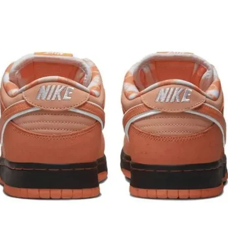 Concepts x Dunk SB Low “ Orange Lobster" - Image 5