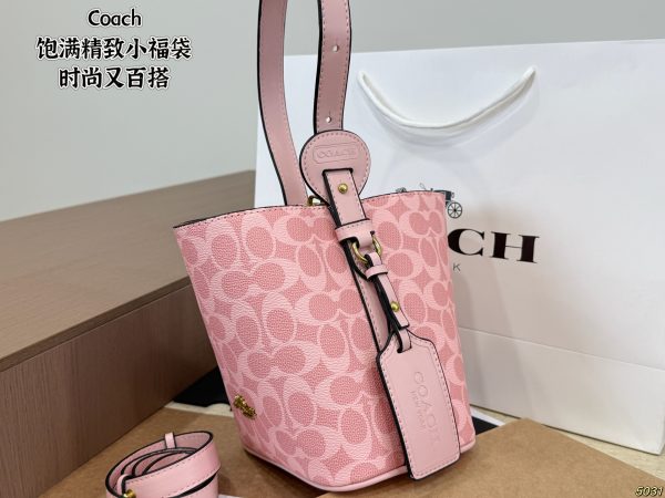 Coach Mini Lucky Bag