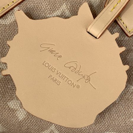 LV Speedy Bandouliere 20 Bag - 10A mirror version - Image 8