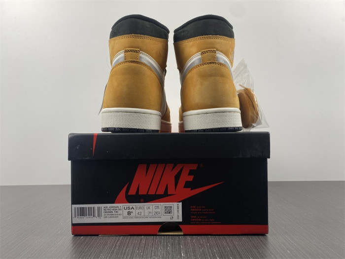 Jordan 1 High Element Gore-Tex Light Curry DB2889-700 - Image 4