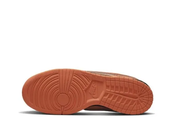 Concepts x Dunk SB Low “ Orange Lobster"