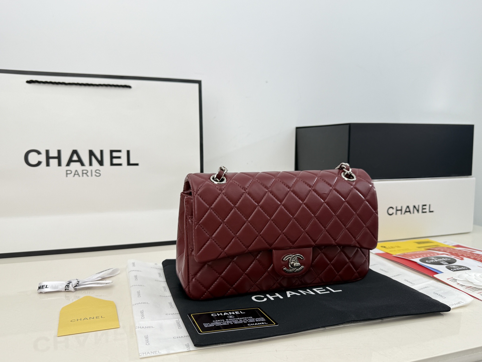 Chanel Classic Double Flap Bag - Image 10