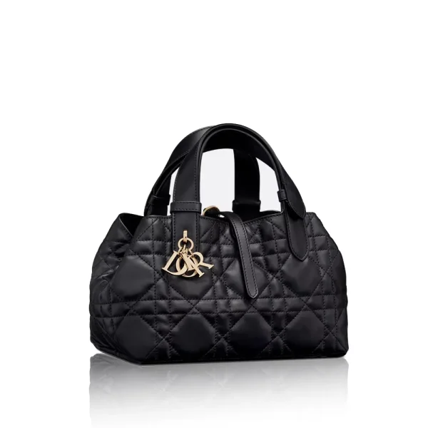 Dior Small Toujours Bag