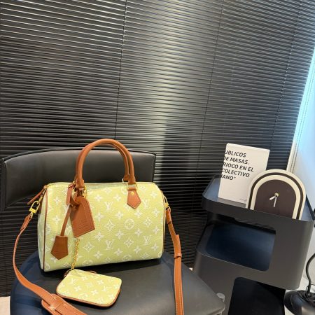 Lv travel bag