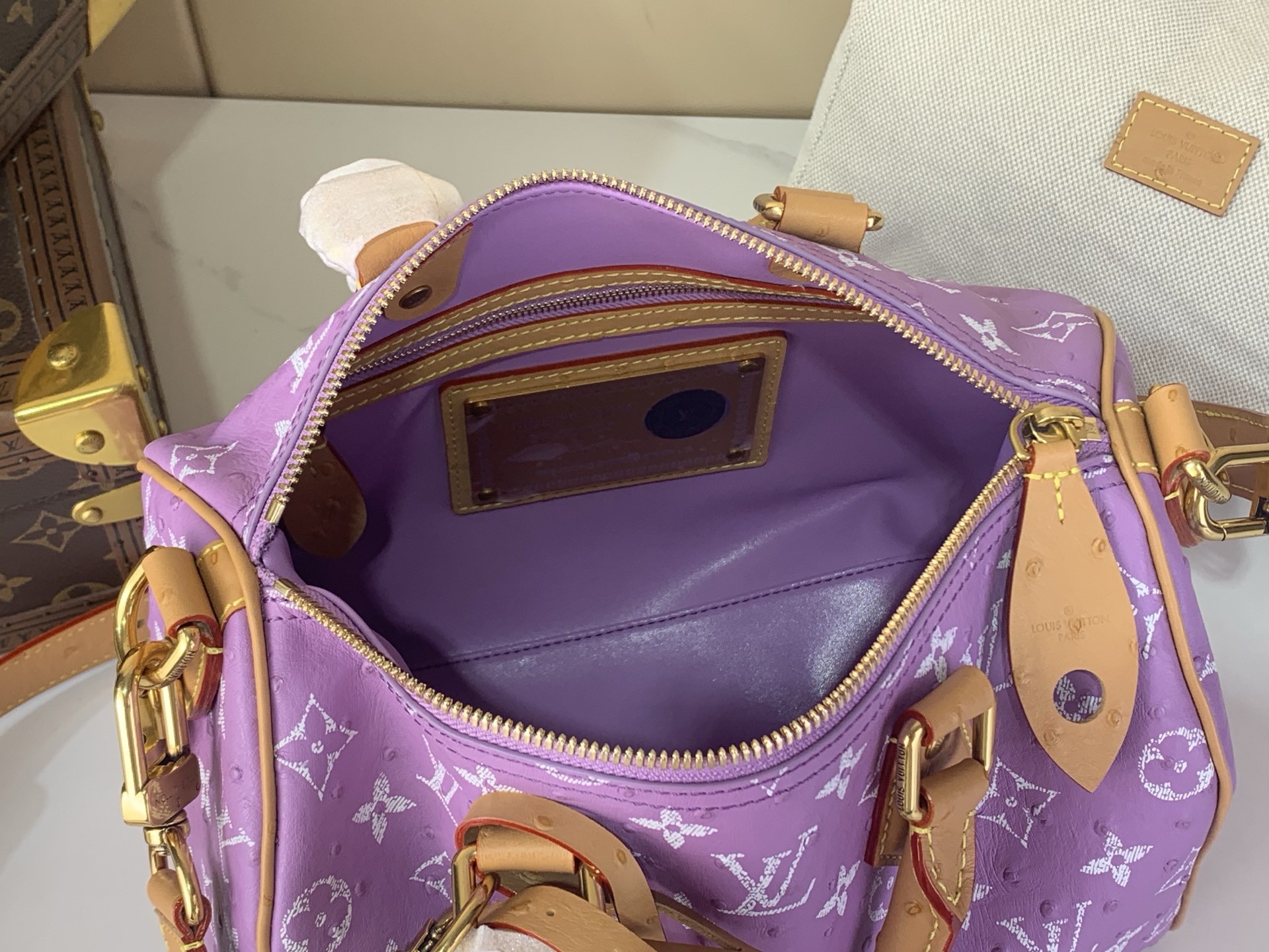 LV Speedy P9 25cm Bag - Image 6
