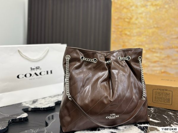 Coach Evelyn Chain Lucky Bag